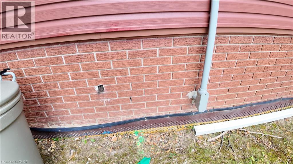 379 Holly Street, Waterloo, Ontario  N2L 4G5 - Photo 6 - 40761936