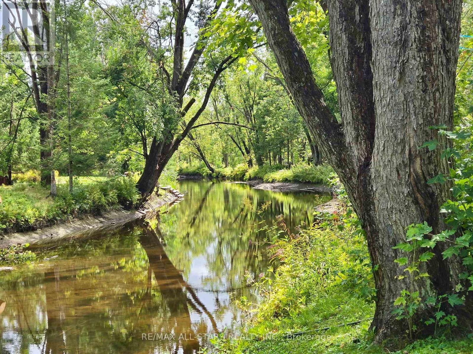 47 Kennedy Drive, Trent Lakes, Ontario  K0M 1A0 - Photo 4 - X12388329