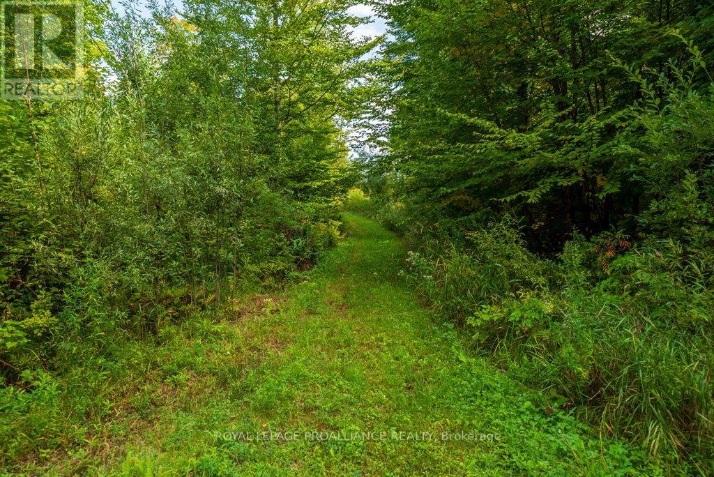 216 Glastonbury Road, Addington Highlands, Ontario  K0H 2G0 - Photo 35 - X12391351