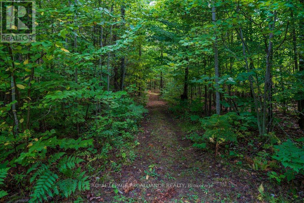 216 Glastonbury Road, Addington Highlands, Ontario  K0H 2G0 - Photo 37 - X12391351