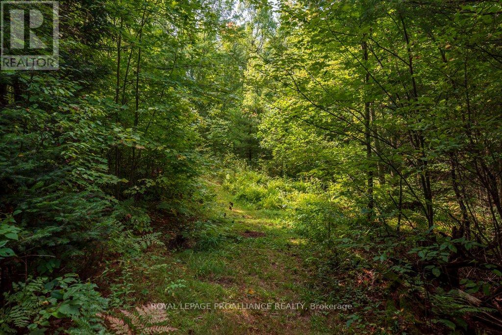 216 Glastonbury Road, Addington Highlands, Ontario  K0H 2G0 - Photo 38 - X12391351