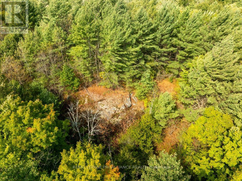 216 Glastonbury Road, Addington Highlands, Ontario  K0H 2G0 - Photo 39 - X12391351