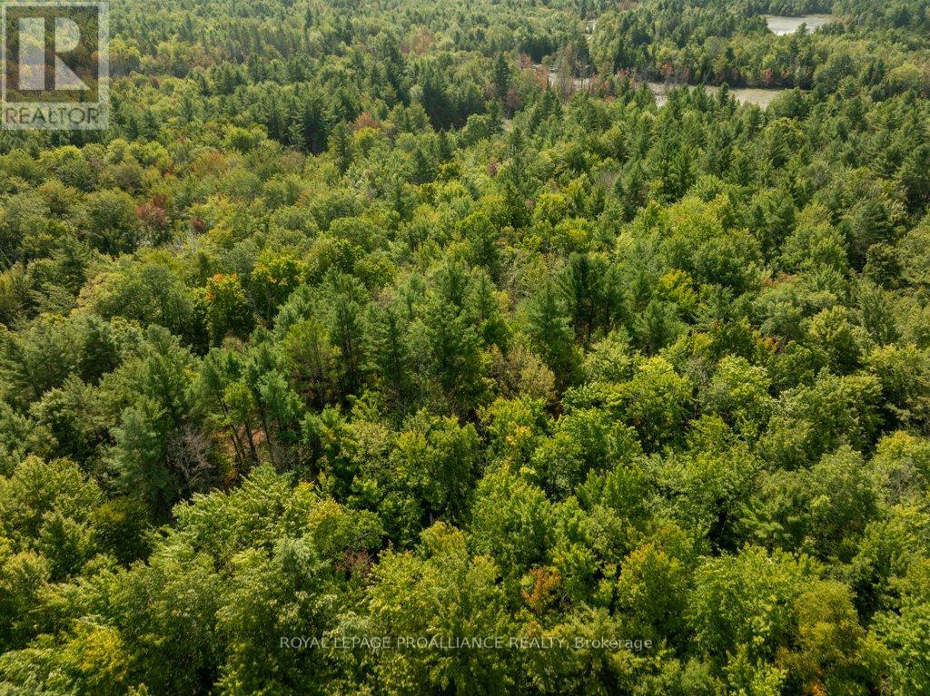 216 Glastonbury Road, Addington Highlands, Ontario  K0H 2G0 - Photo 40 - X12391351