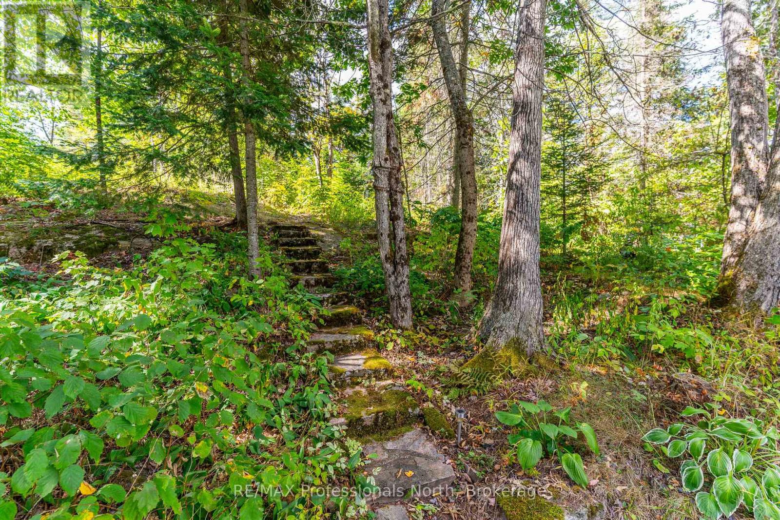 1468 Twelve Mile Lake Road, Minden Hills, Ontario  K0M 2K0 - Photo 3 - X12391467