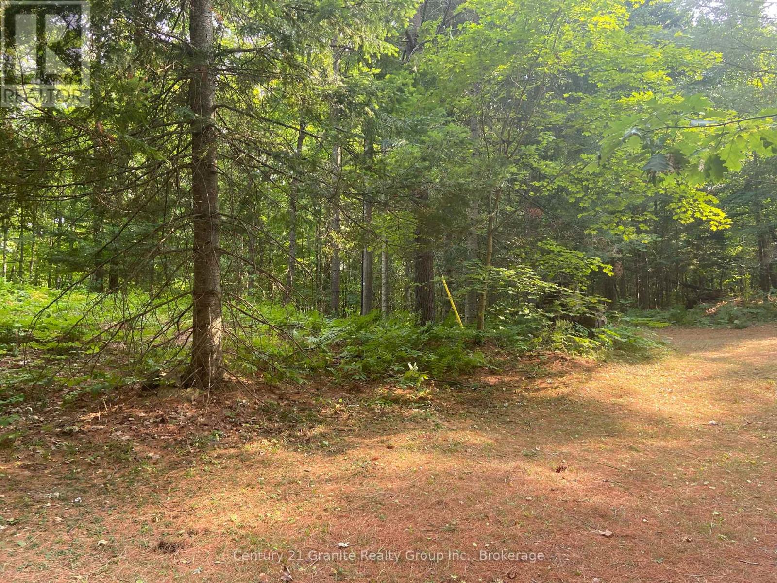 1035 Nawautin Lane, Minden Hills, Ontario  K0M 2K0 - Photo 35 - X12337264