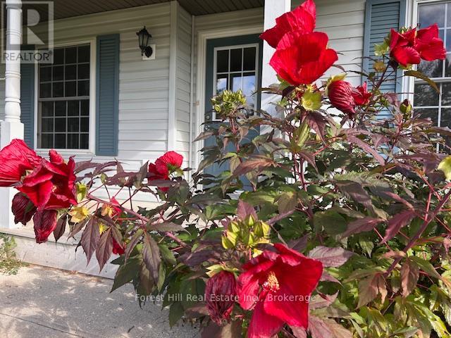 504097 Grey Road 12, West Grey, Ontario  N0C 1H0 - Photo 3 - X12391545