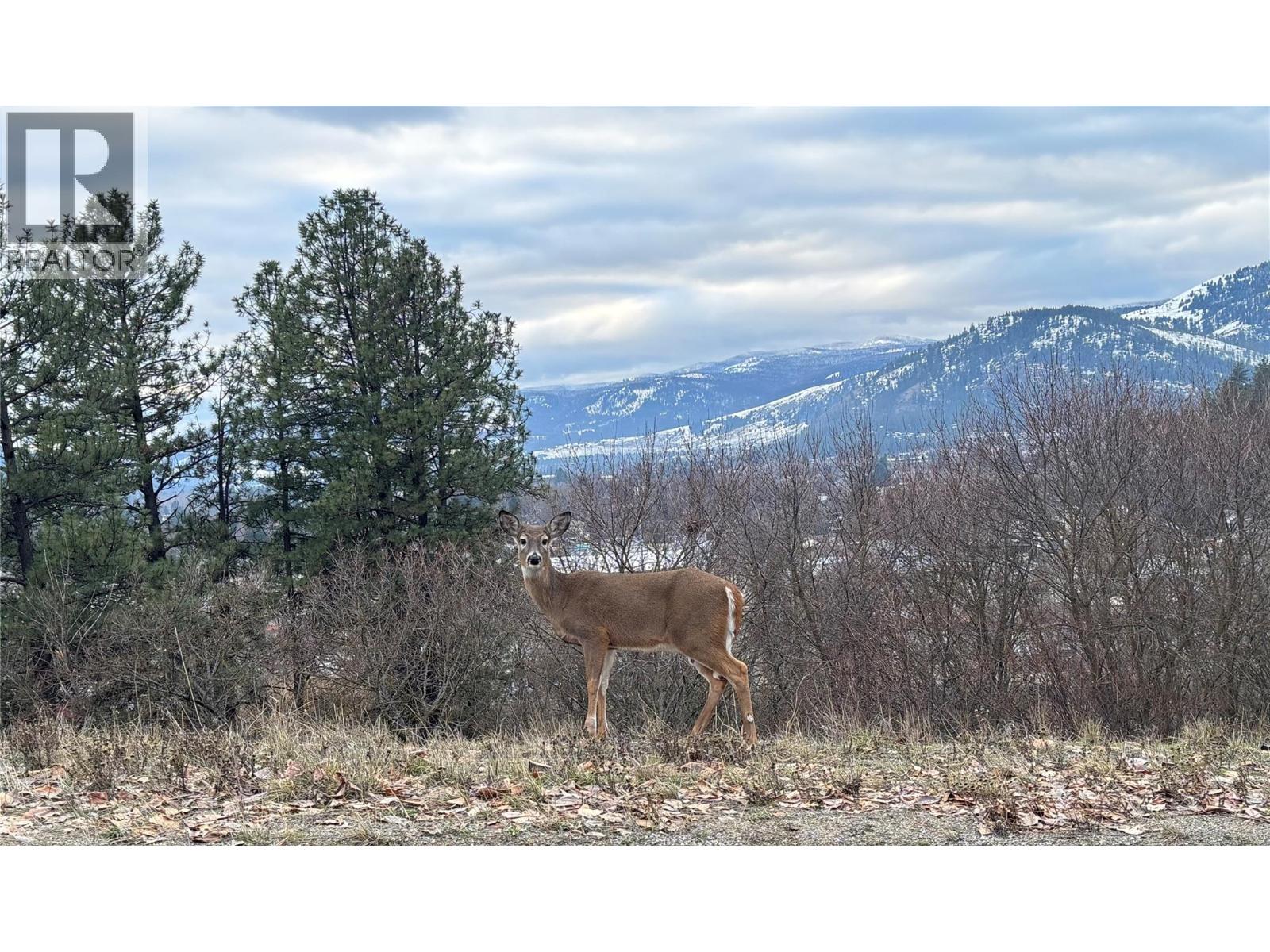 7460 Valley Heights Drive, Grand Forks, British Columbia  V0H 1H0 - Photo 17 - 10362022