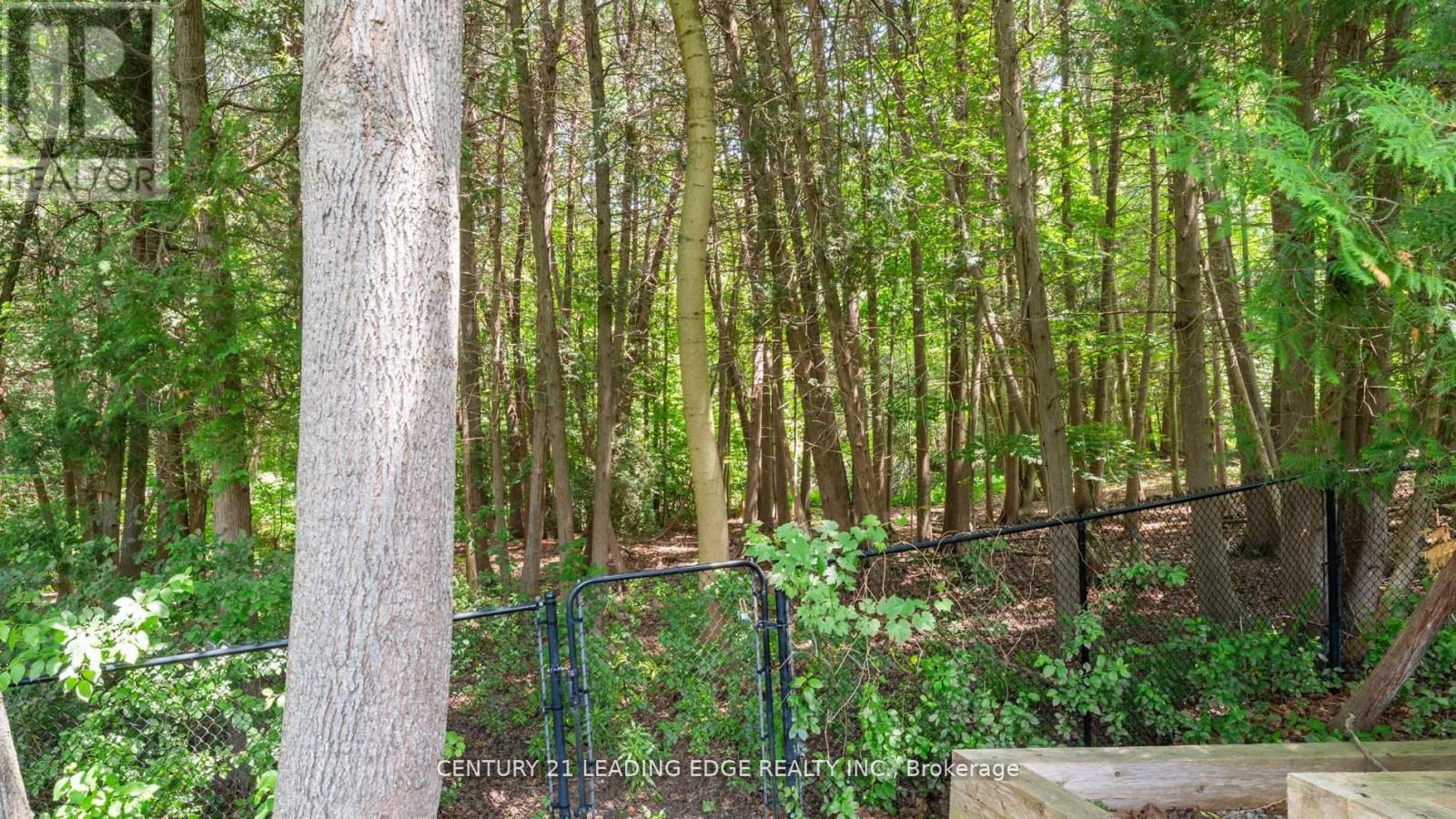 3295 Tooley Road, Clarington, Ontario  L1E 2K1 - Photo 50 - E12391367