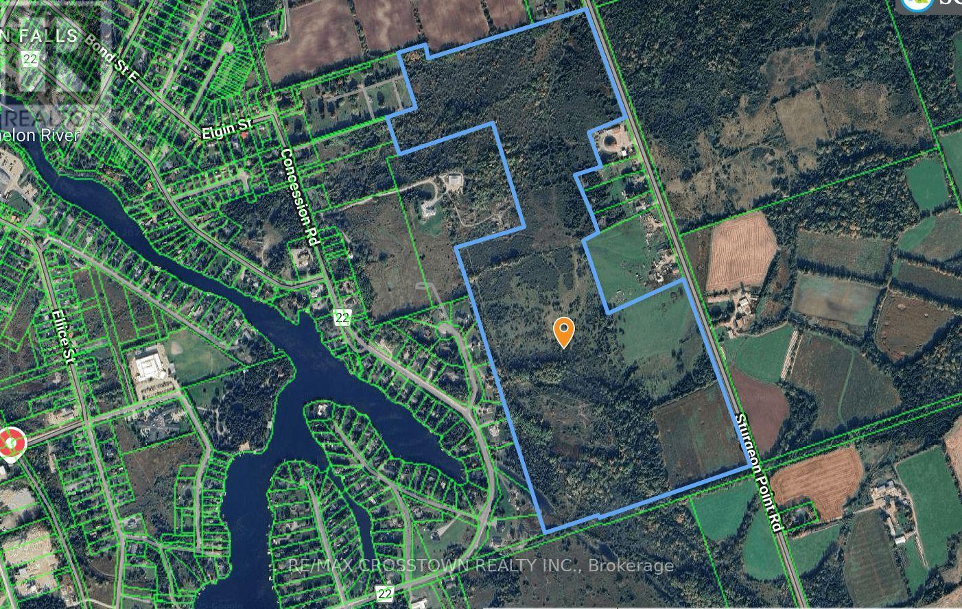 808 City Road Highway 121 Highway, Kawartha Lakes, Ontario  K0M 1N0 - Photo 4 - X12391463