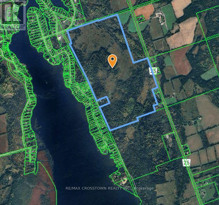 808 City Road Highway 121 Highway, Kawartha Lakes, Ontario  K0M 1N0 - Photo 7 - X12391463