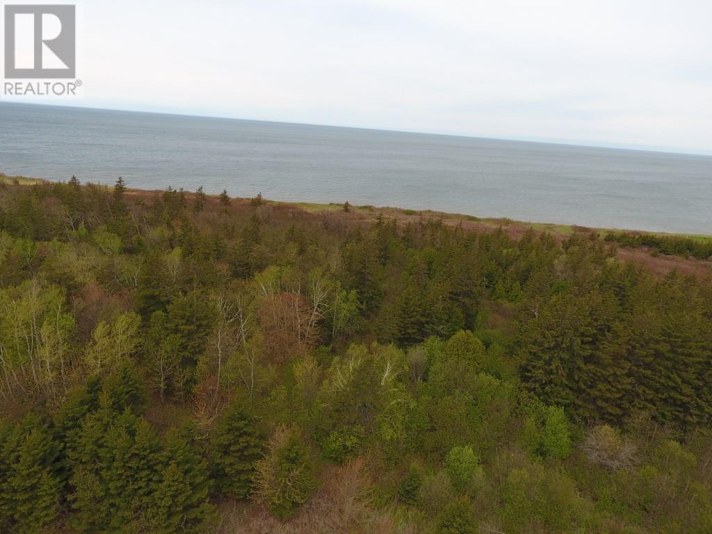 Lot 10-2 Route 14, Campbellton, Prince Edward Island  C0B 1E0 - Photo 8 - 202522806