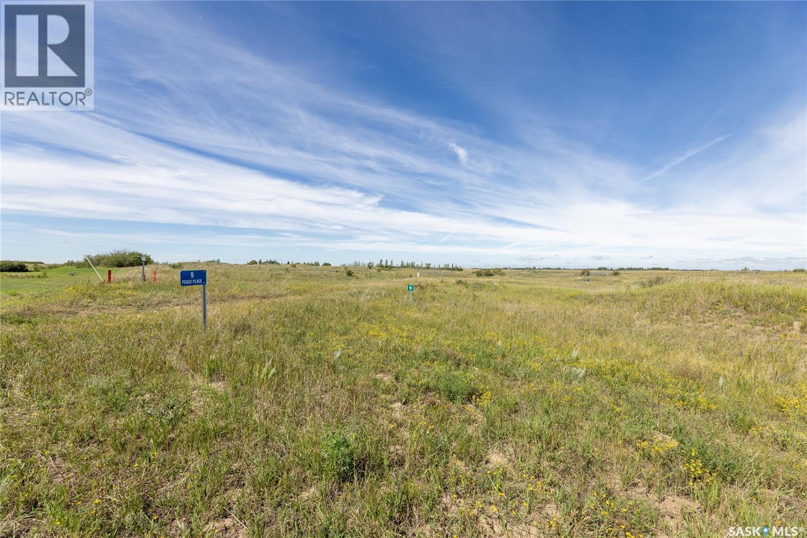 9 Peace Place, Dundurn Rm No. 314, Saskatchewan  S7K 4E2 - Photo 1 - SK017877