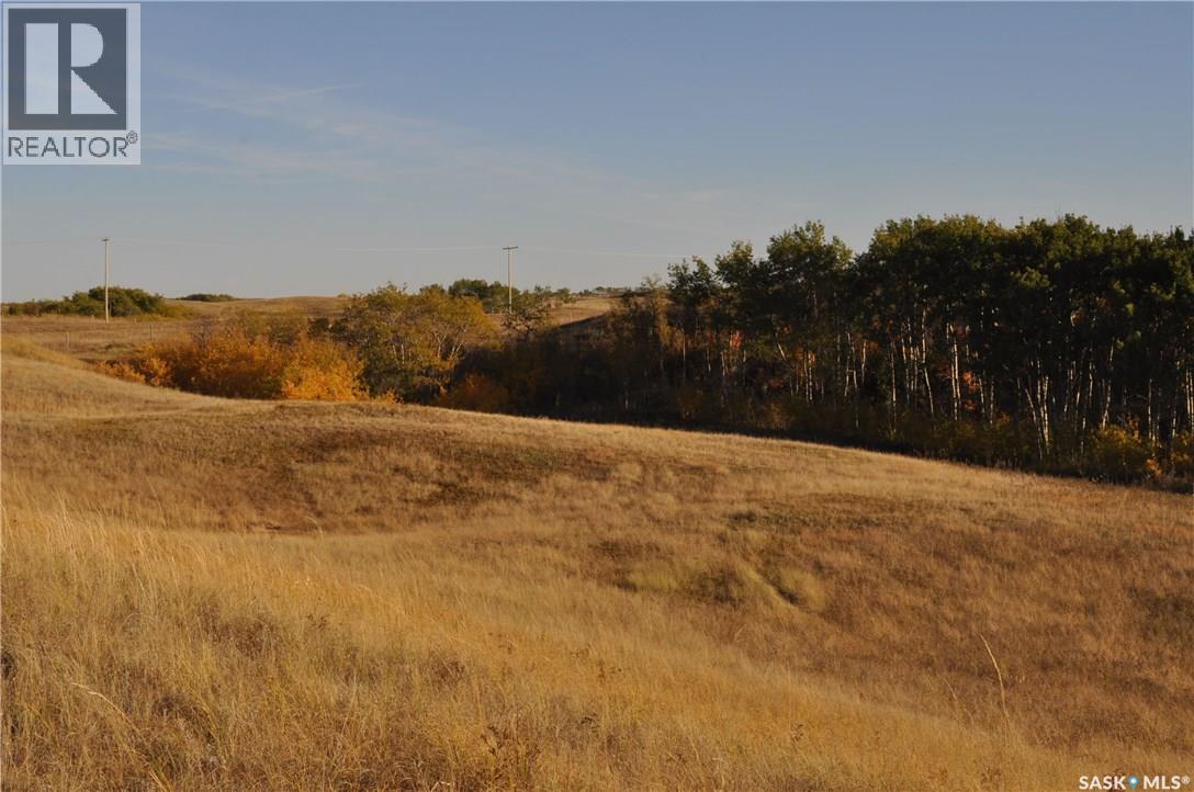 9 Peace Place, Dundurn Rm No. 314, Saskatchewan  S7K 4E2 - Photo 12 - SK017877