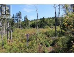 86-81 Owen Court, campobello island, New Brunswick