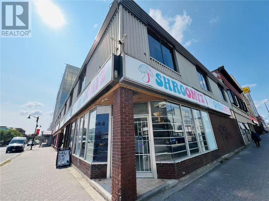 39 Durham Street, Sudbury, Ontario  P3E 3M2 - Photo 7 - 2124625