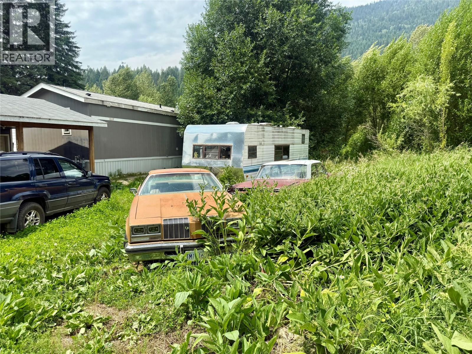 115 Railway Avenue, Salmo, British Columbia  V0G 1Z0 - Photo 38 - 10354950