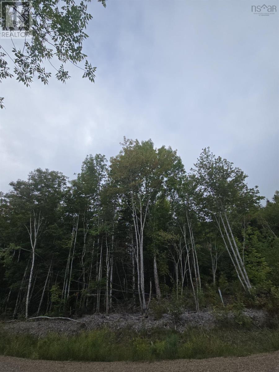 5 Lot  5 Lochiel Lake (west side), Lochiel Lake, Nova Scotia