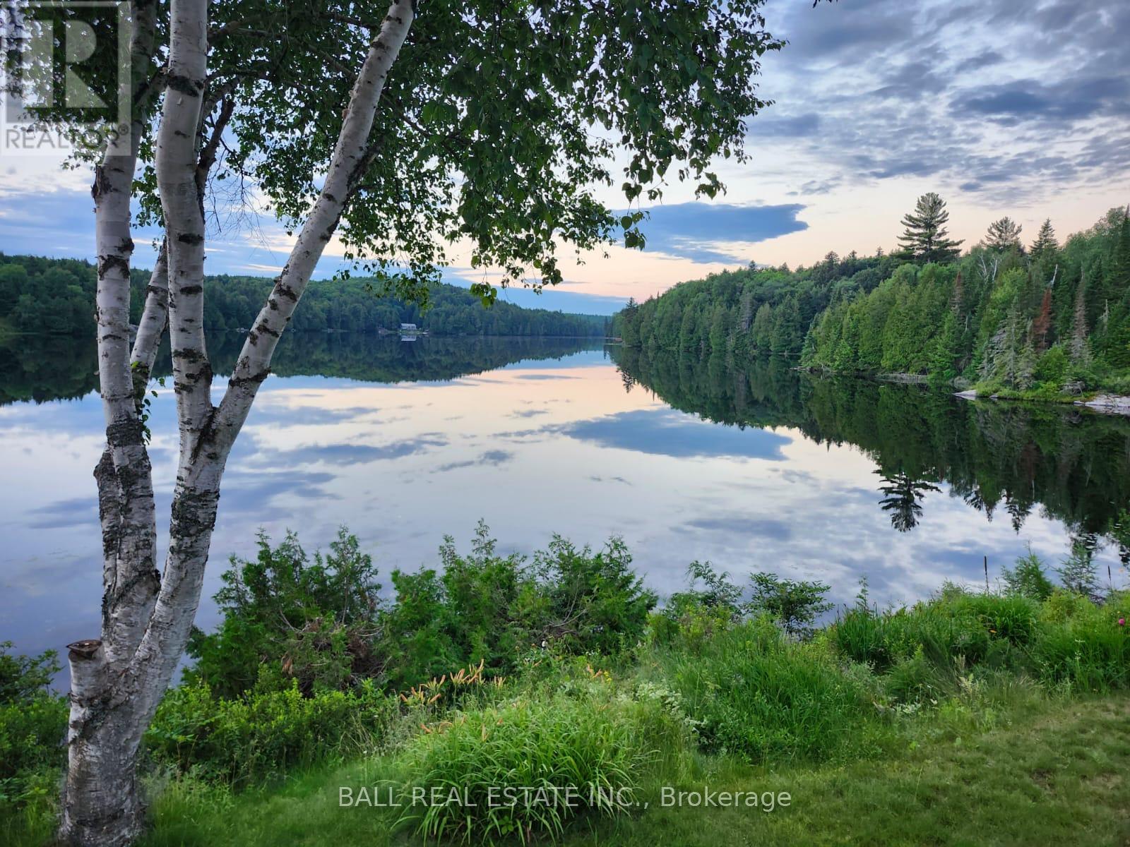 198 Davies Lane, South Algonquin, Ontario  K0J 2C0 - Photo 10 - X12374166