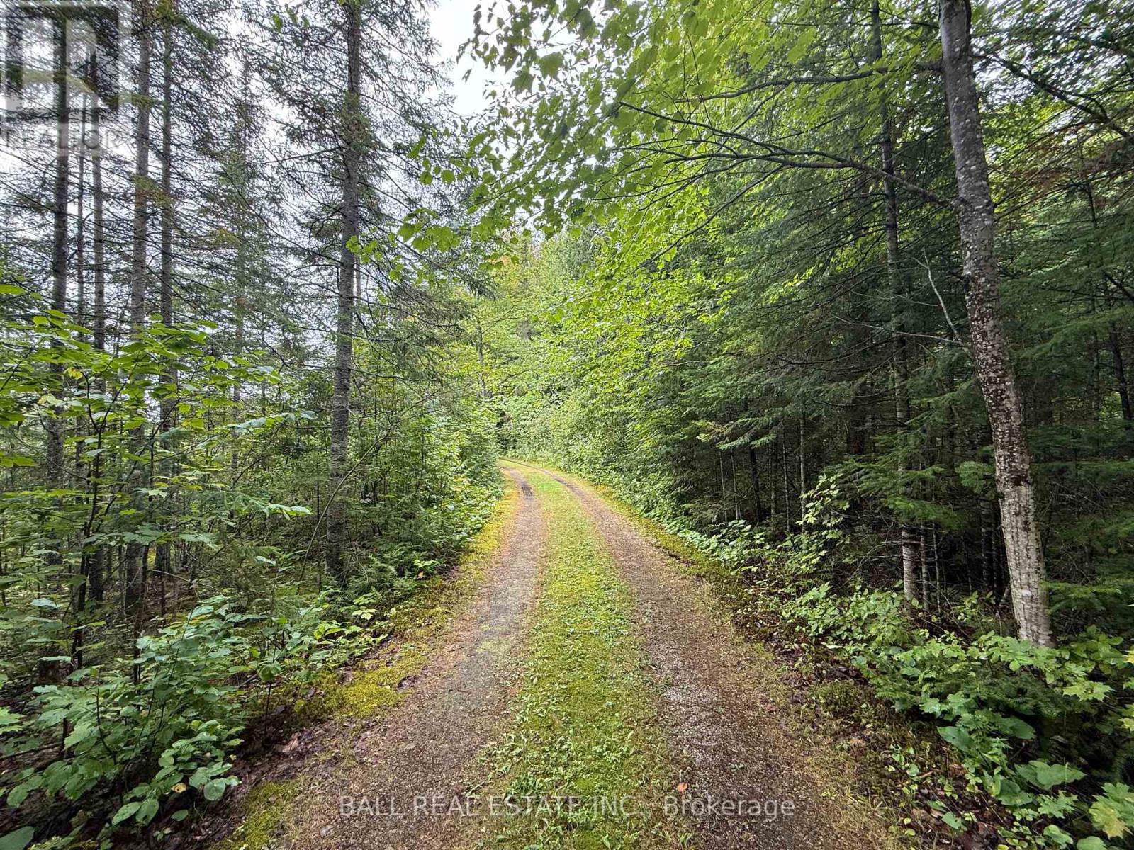 198 Davies Lane, South Algonquin, Ontario  K0J 2C0 - Photo 40 - X12374166