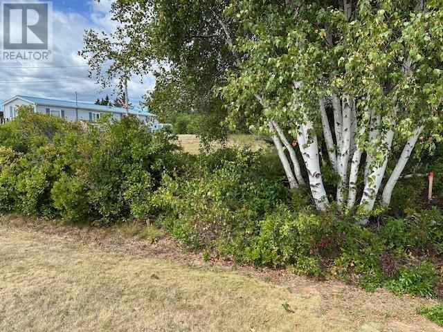 Lot Machon Point Road, Murray Harbour, Prince Edward Island  C0A 1V0 - Photo 10 - 202522820