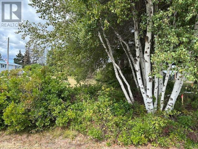 Lot Machon Point Road, Murray Harbour, Prince Edward Island  C0A 1V0 - Photo 11 - 202522820