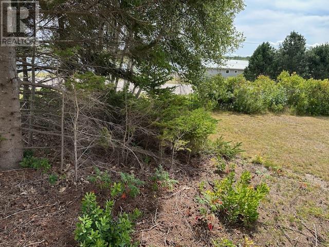 Lot Machon Point Road, Murray Harbour, Prince Edward Island  C0A 1V0 - Photo 8 - 202522820