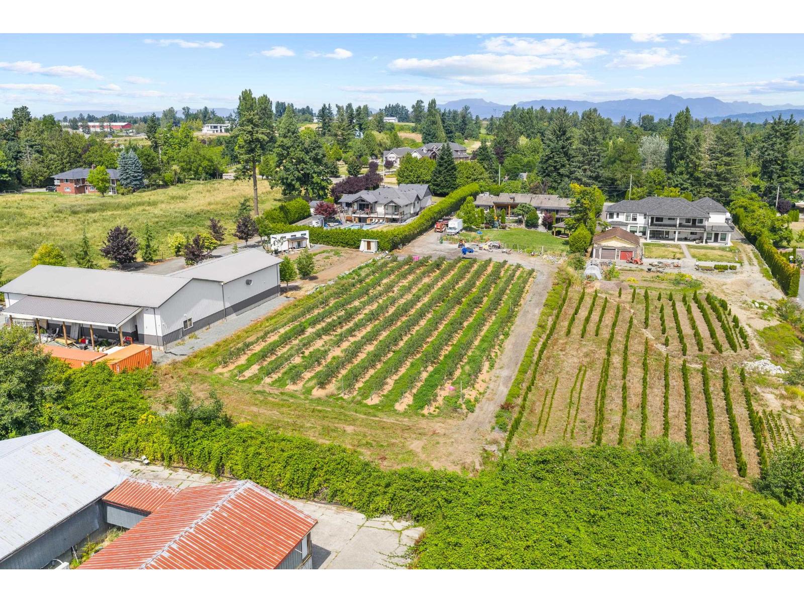 29852 Maclure Road, Abbotsford, British Columbia  V4X 1G5 - Photo 6 - R3034769