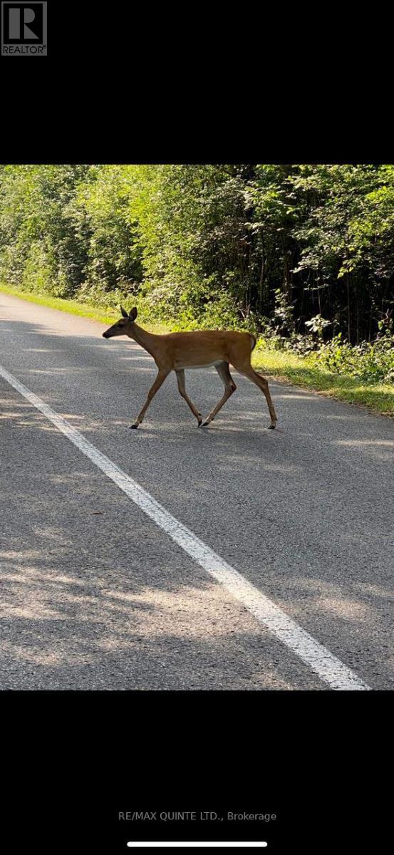 0000 Bayshore Road, Brighton, Ontario  K0K 1H0 - Photo 13 - X12392246