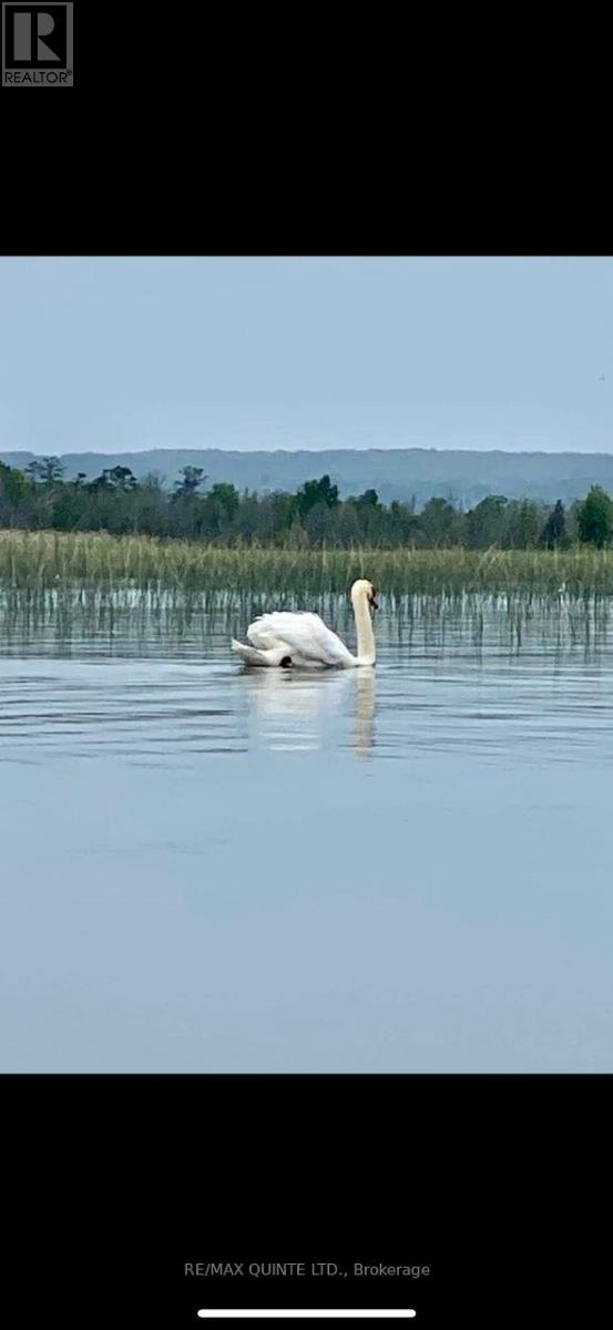 0000 Bayshore Road, Brighton, Ontario  K0K 1H0 - Photo 15 - X12392246