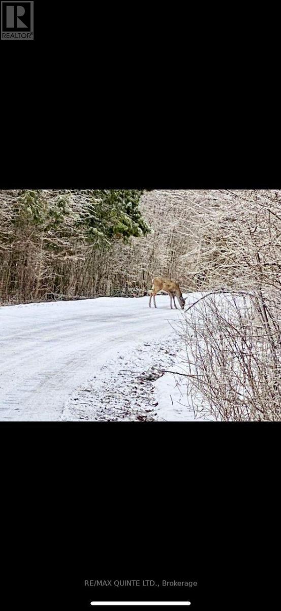 0000 Bayshore Road, Brighton, Ontario  K0K 1H0 - Photo 18 - X12392246