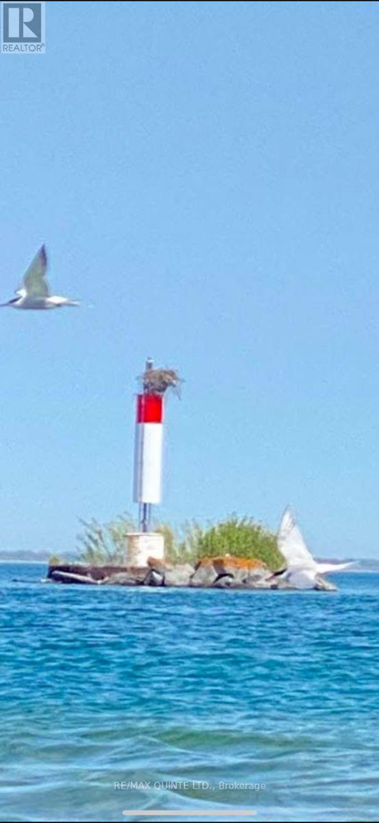 0000 Bayshore Road, Brighton, Ontario  K0K 1H0 - Photo 20 - X12392246