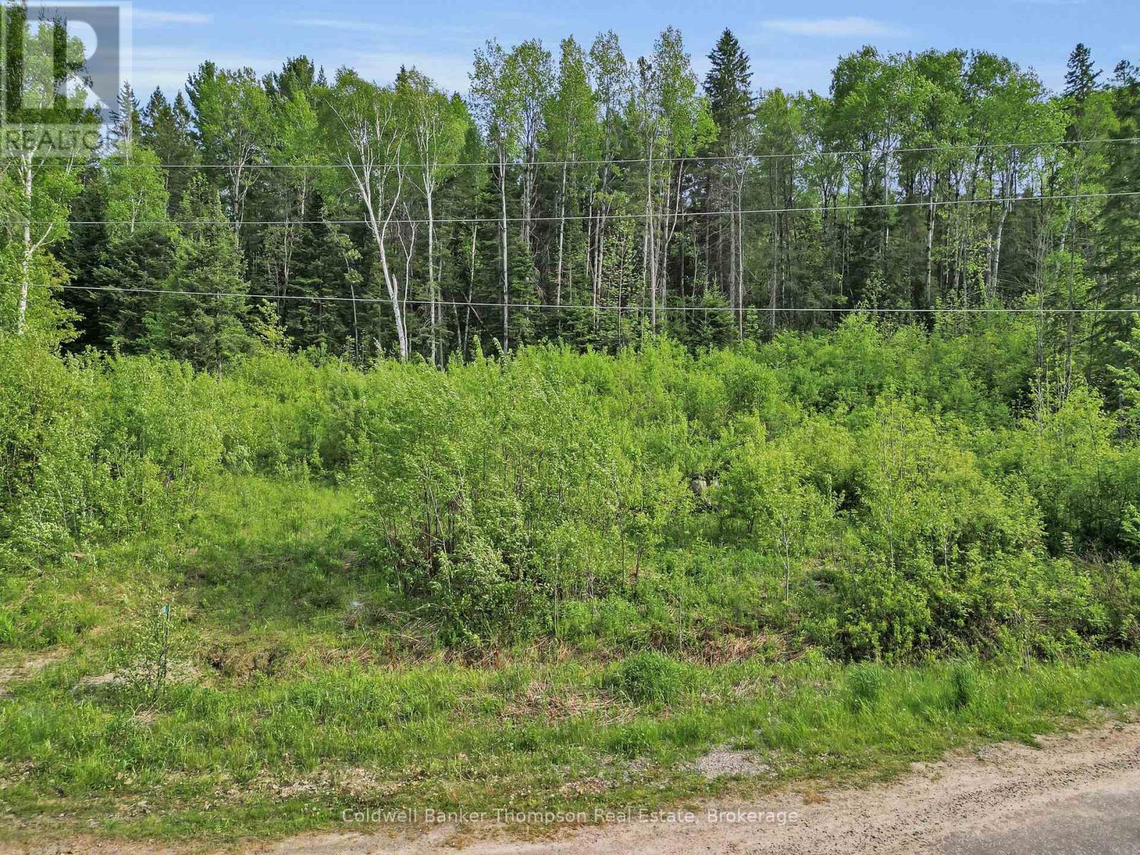 219 Doe Lake Road, Armour, Ontario  P0A 1L0 - Photo 5 - X12392314