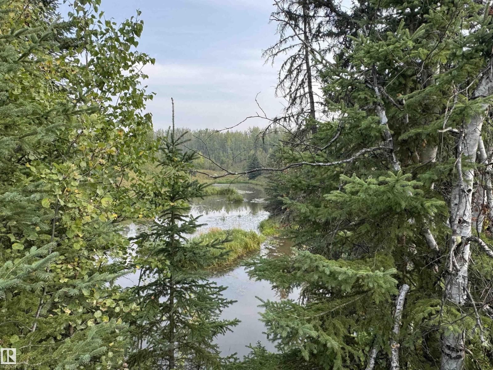 on Twp 484, Rural Brazeau County, Alberta