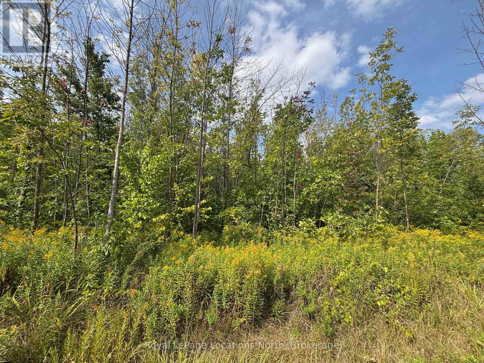 0 CEDAR AVENUE, Meaford, Ontario