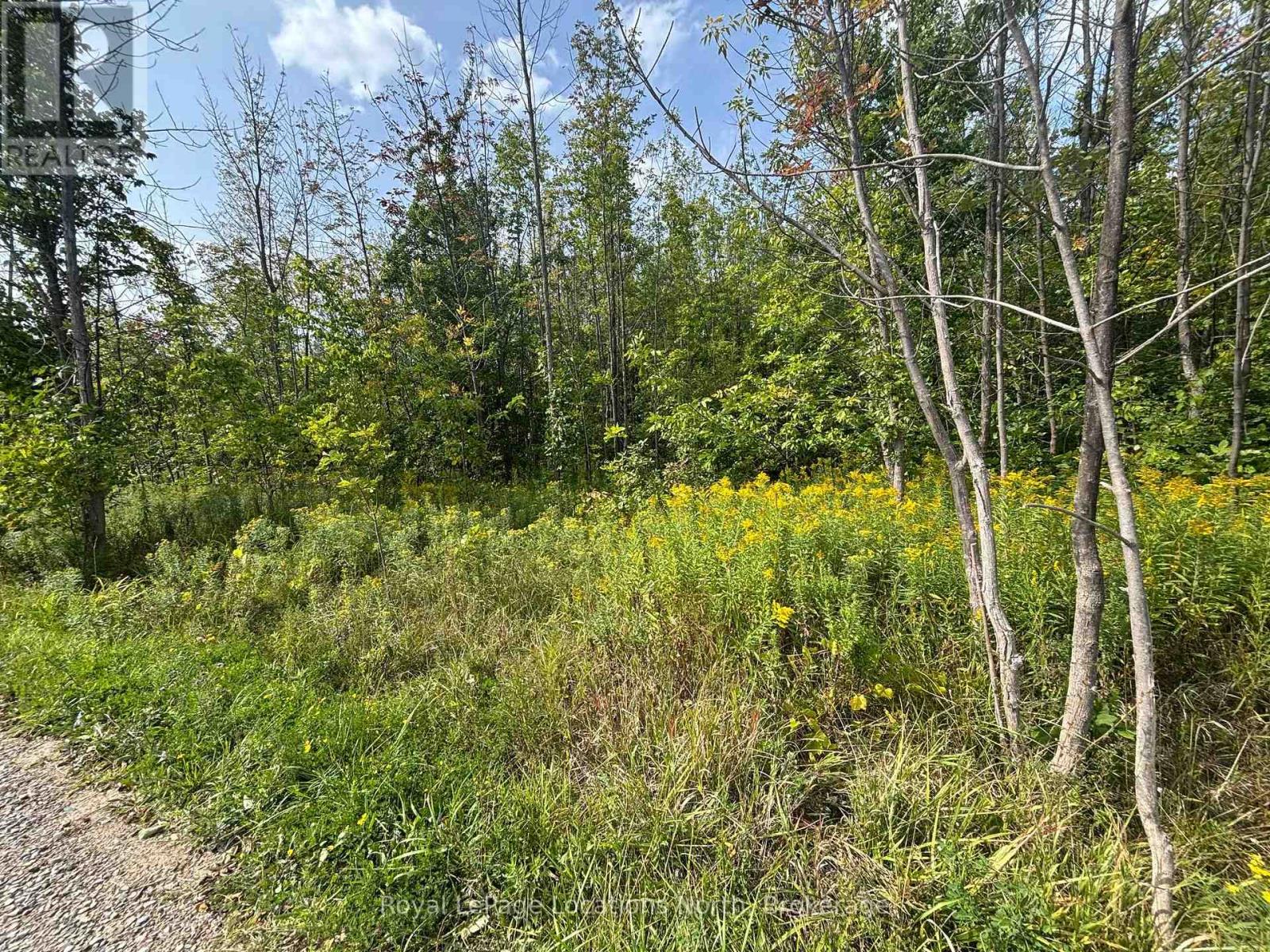 0 Cedar Avenue, Meaford, Ontario  N4L 1W5 - Photo 2 - X12392481
