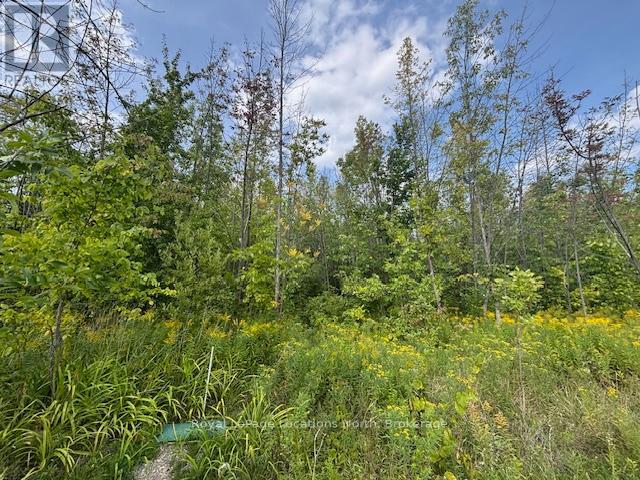 0 Cedar Avenue, Meaford, Ontario  N4L 1W5 - Photo 3 - X12392481