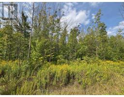 0 Cedar Avenue, Meaford, Ca