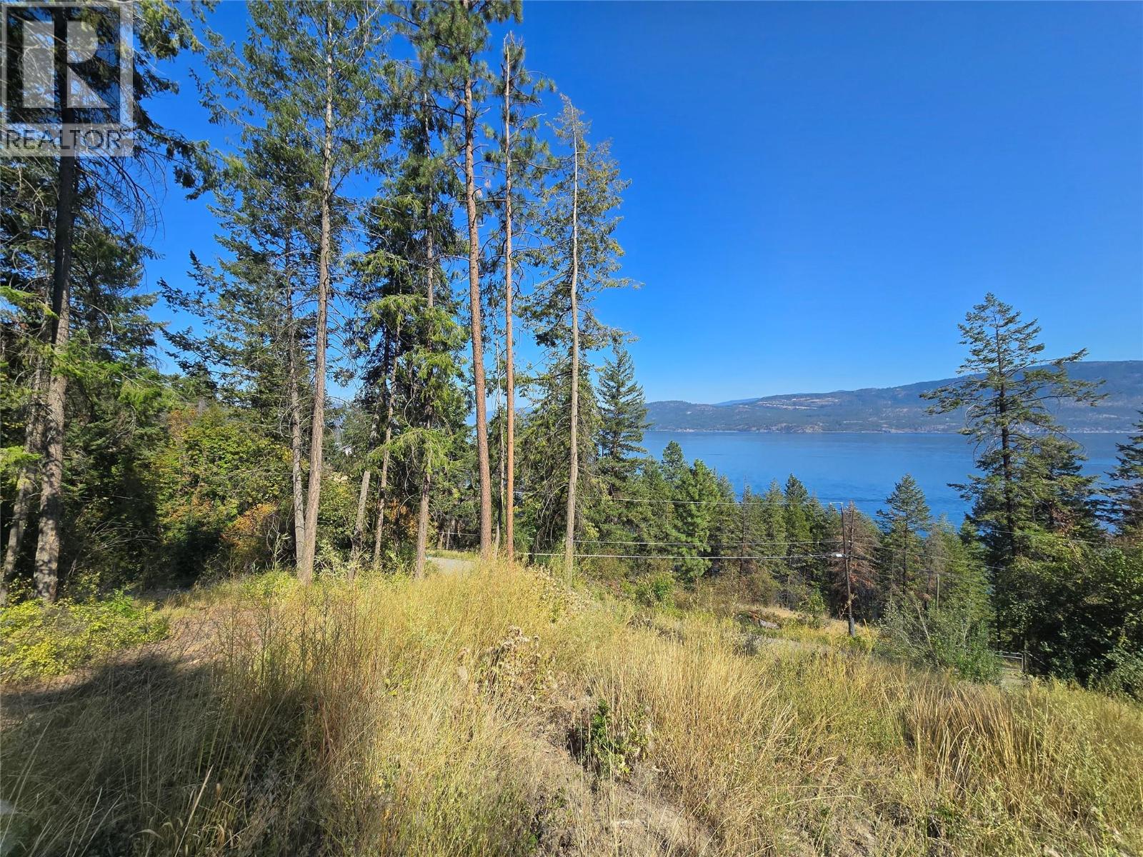 Lorem Ipsum Dolo, Vernon, British Columbia  V1H  - Photo 16 - DEMO28837529