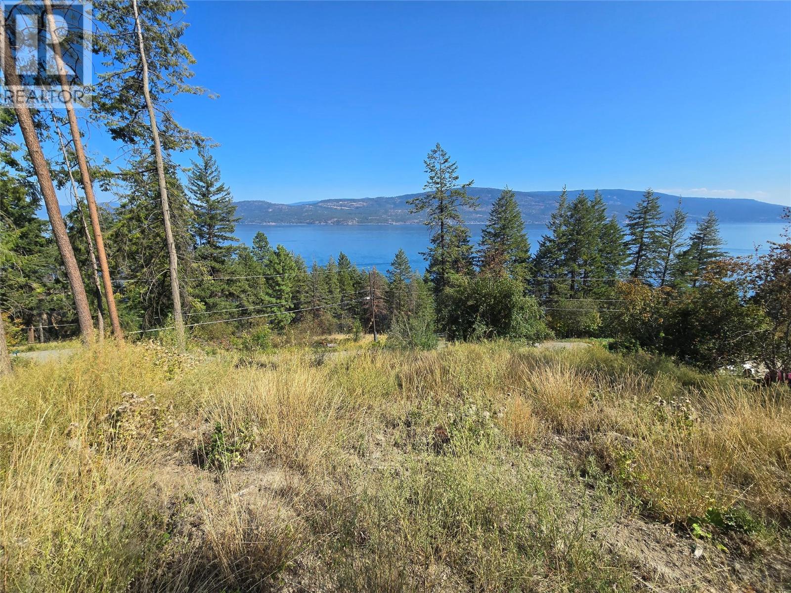 Lorem Ipsum Dolo, Vernon, British Columbia  V1H  - Photo 14 - DEMO28837529