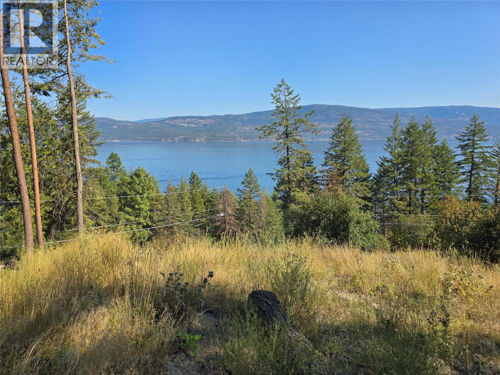 Lorem Ipsum Dolo, Vernon, British Columbia  V1H  - Photo 11 - DEMO28837529