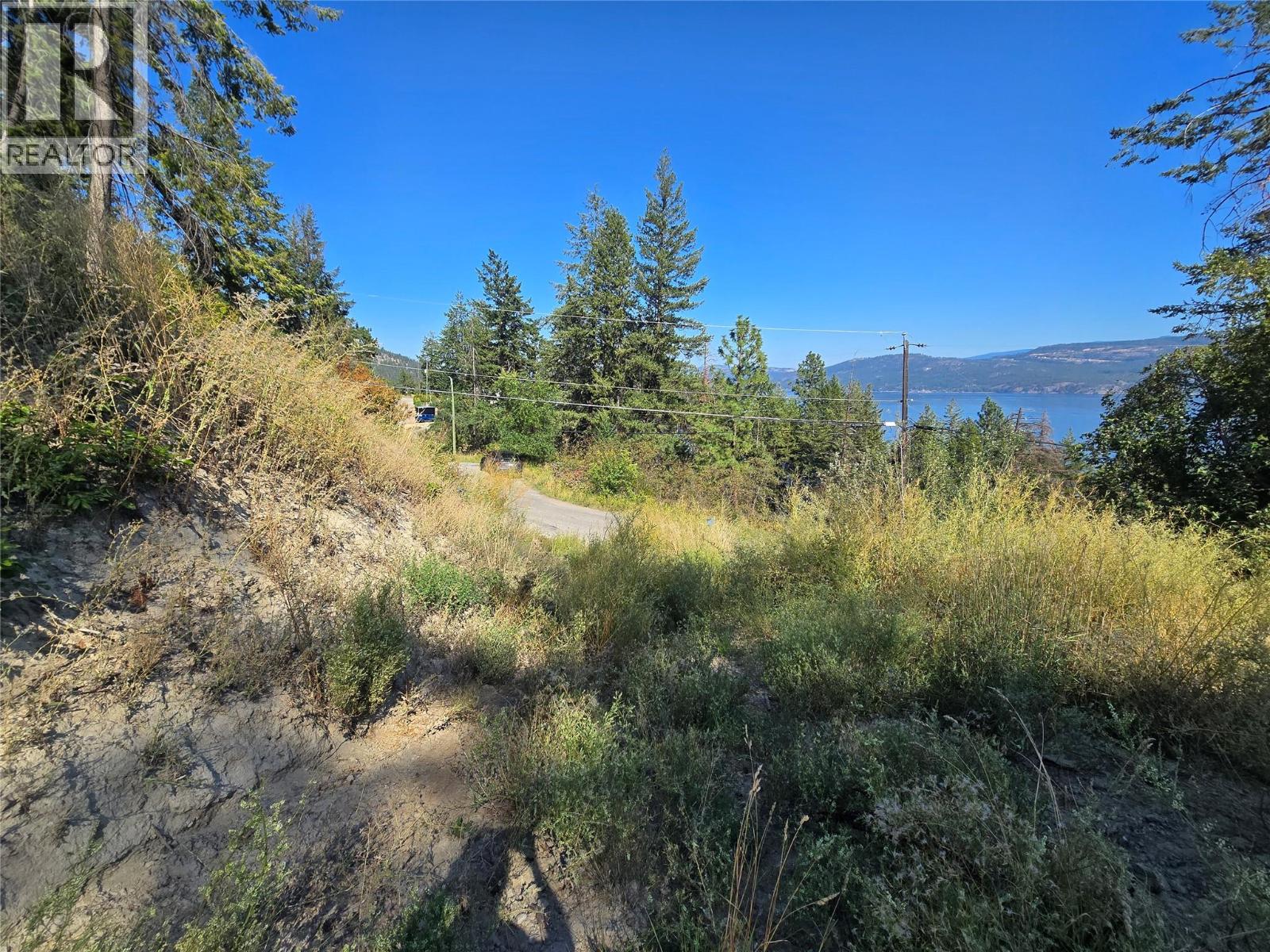 Lorem Ipsum Dolo, Vernon, British Columbia  V1H  - Photo 22 - DEMO28837529