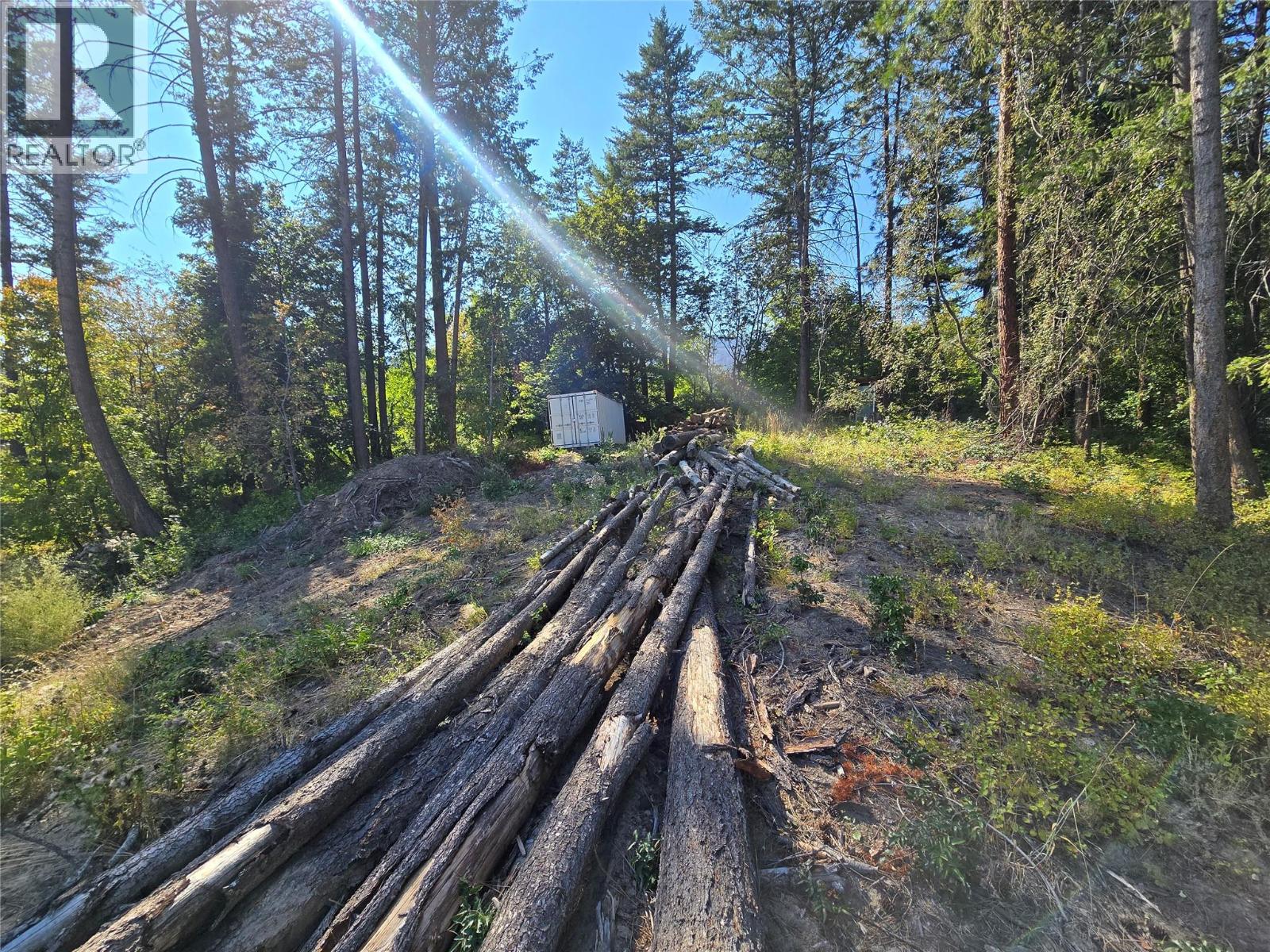 Lorem Ipsum Dolo, Vernon, British Columbia  V1H  - Photo 13 - DEMO28837529