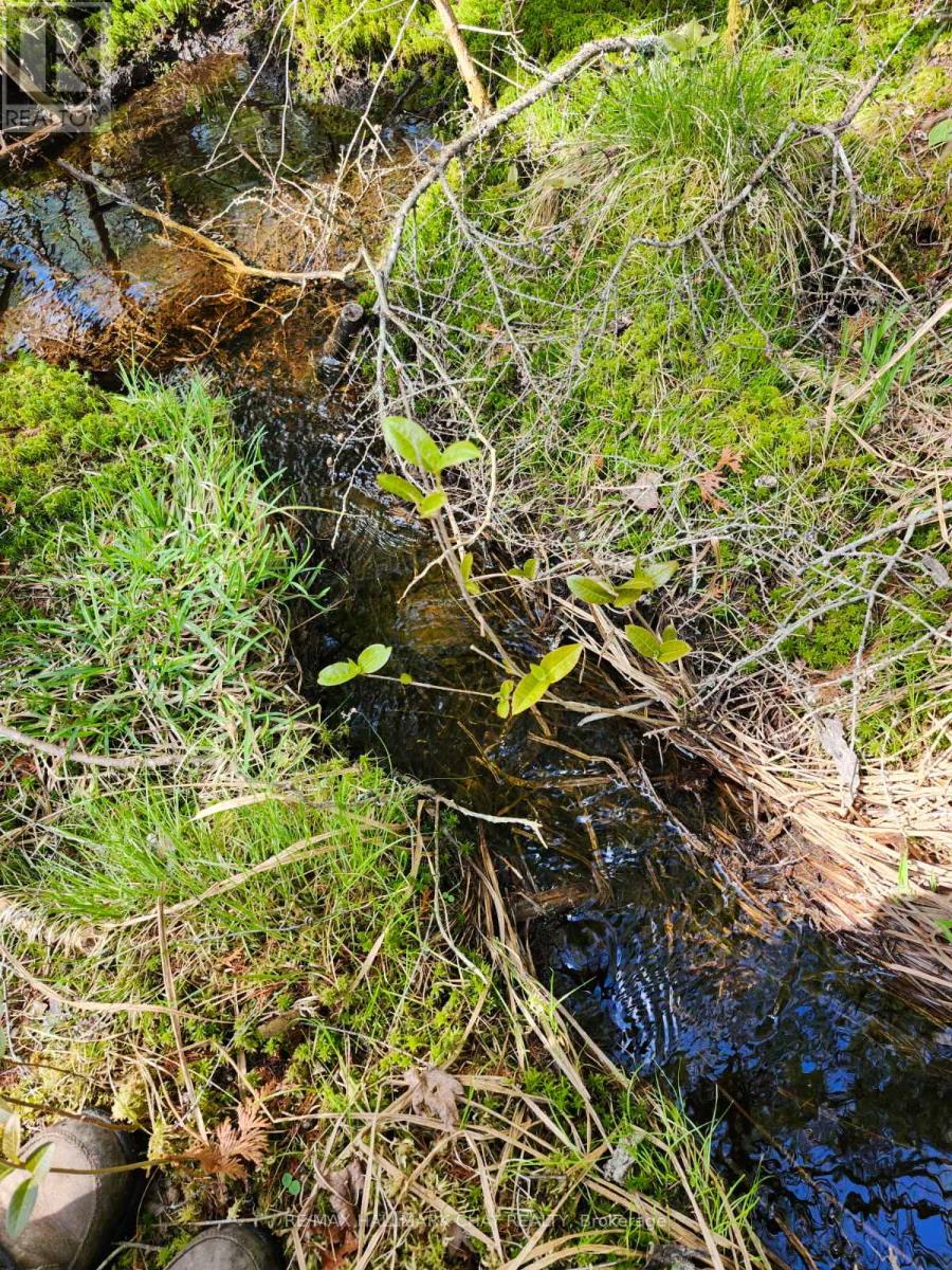 Pt Lots 24 & 25 Con 5 Concession, Ryerson, Ontario  P0A 1C0 - Photo 23 - X12392432