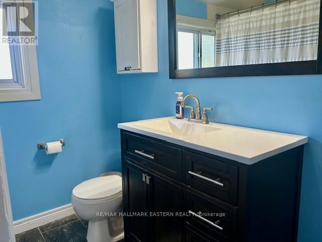 3 Maryknoll Avenue, Kawartha Lakes, Ontario  K9V 1A7 - Photo 15 - X12375013