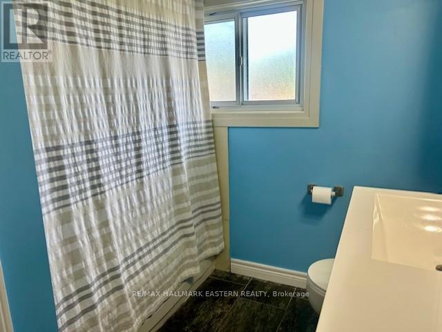 3 Maryknoll Avenue, Kawartha Lakes, Ontario  K9V 1A7 - Photo 14 - X12375013