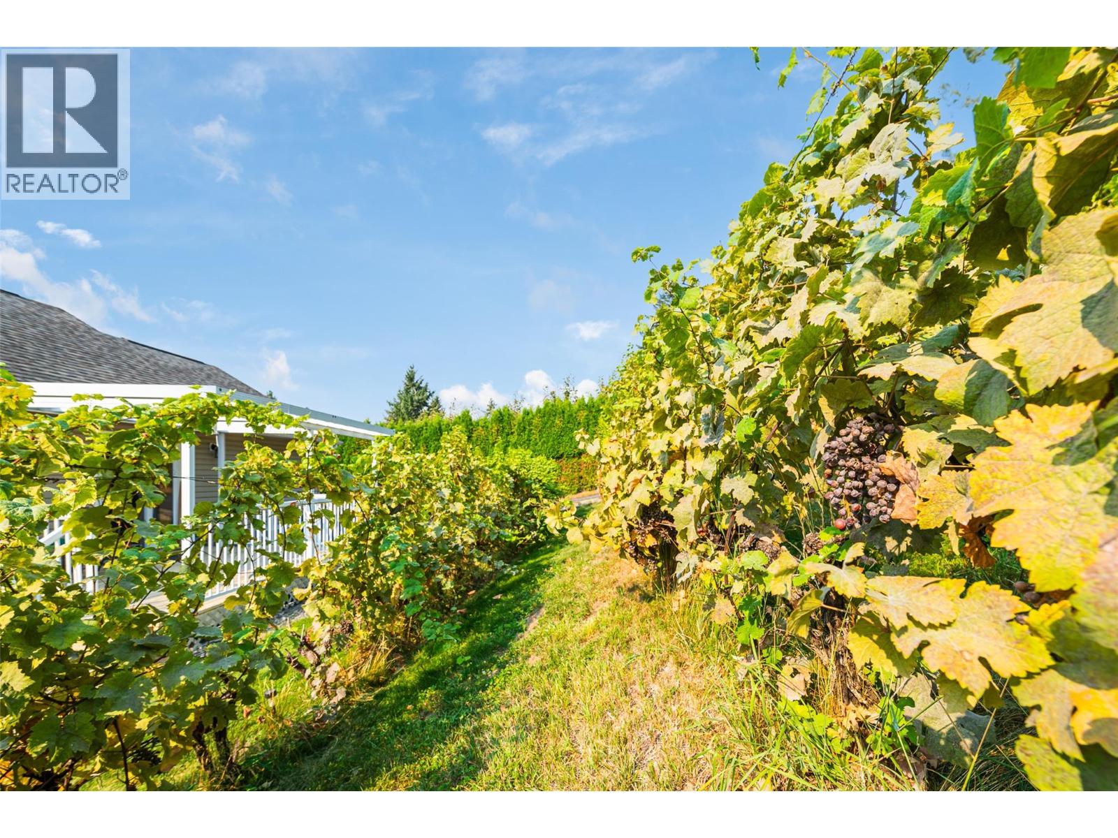 3900 Haskins Road E, Creston, British Columbia V0B 1G1 - Photo 7 - 10362015