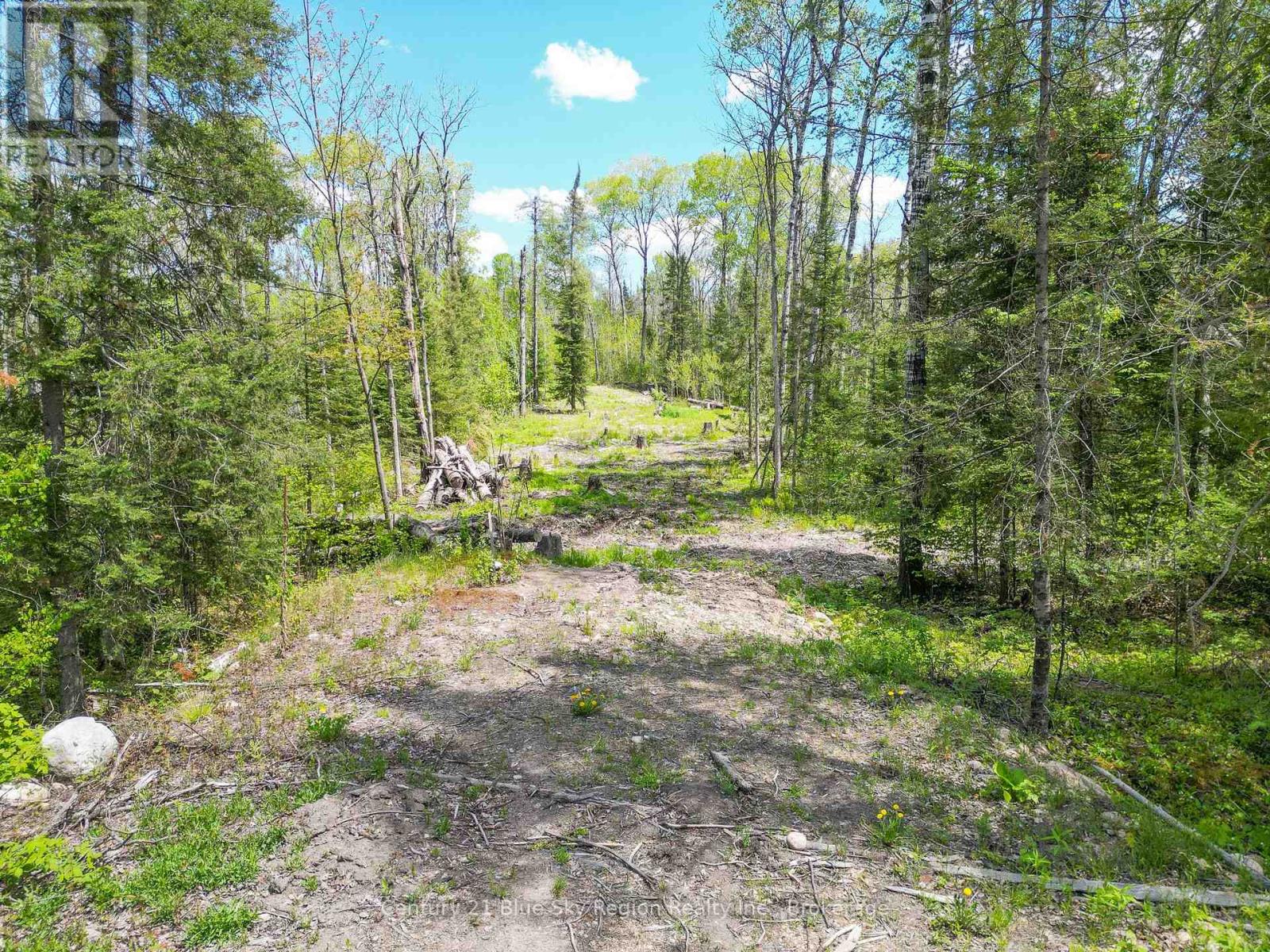 13 One Mile Road, East Ferris, Ontario  P0H 1K0 - Photo 12 - X12392444