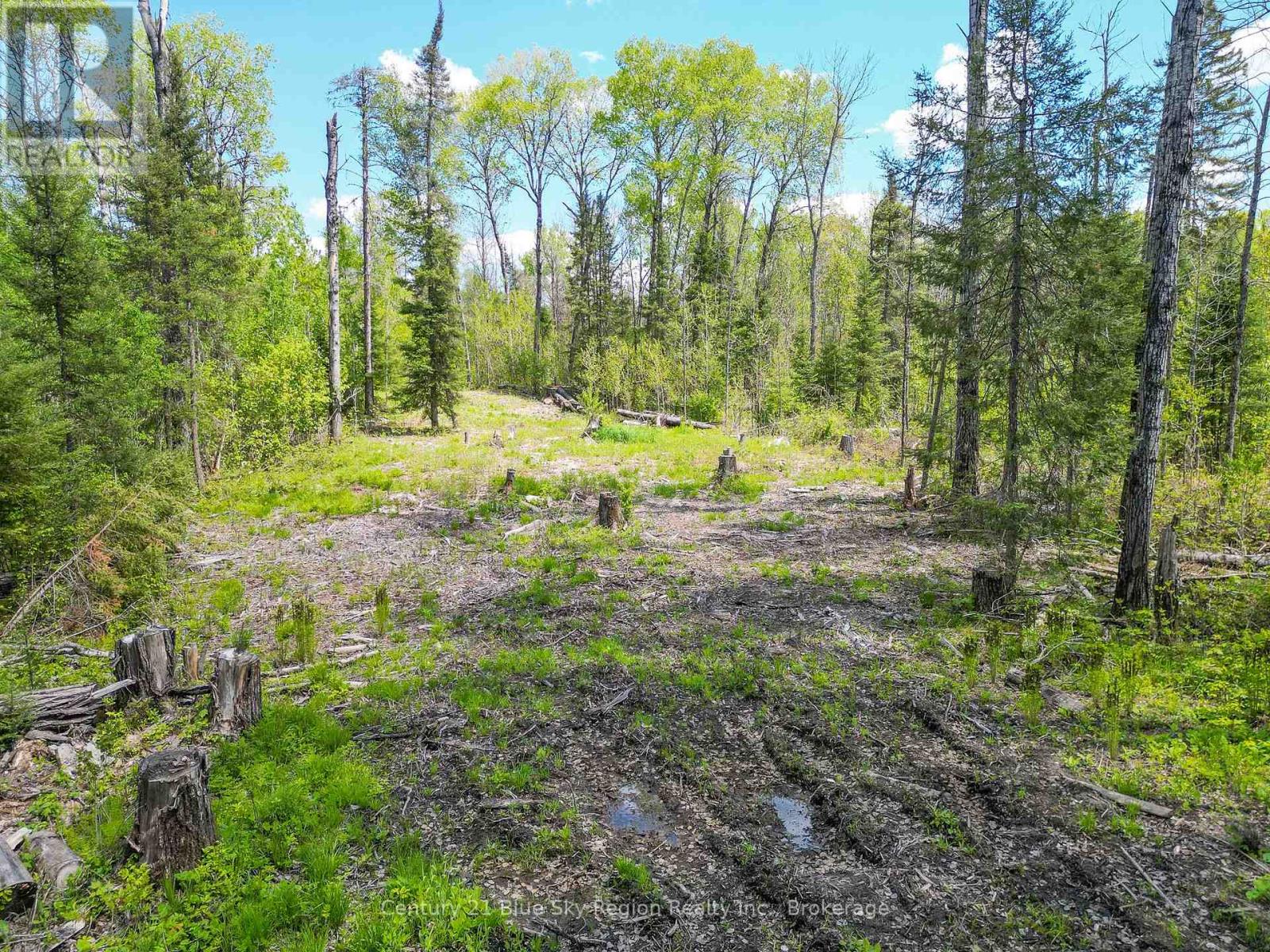 13 One Mile Road, East Ferris, Ontario  P0H 1K0 - Photo 14 - X12392444