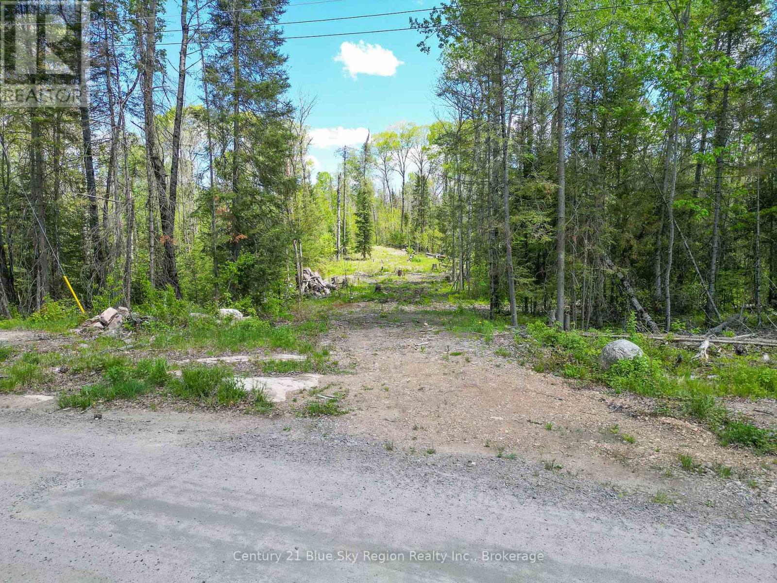 13 One Mile Road, East Ferris, Ontario  P0H 1K0 - Photo 13 - X12392444