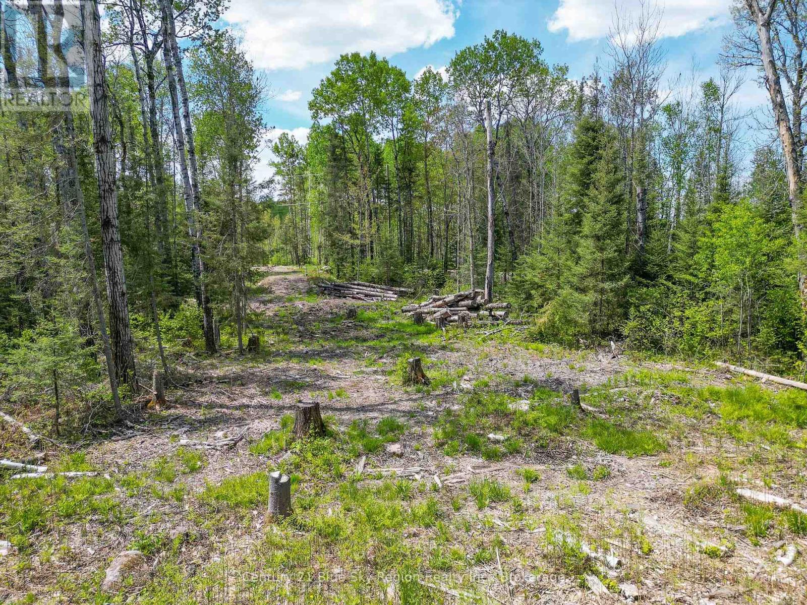 13 One Mile Road, East Ferris, Ontario  P0H 1K0 - Photo 16 - X12392444